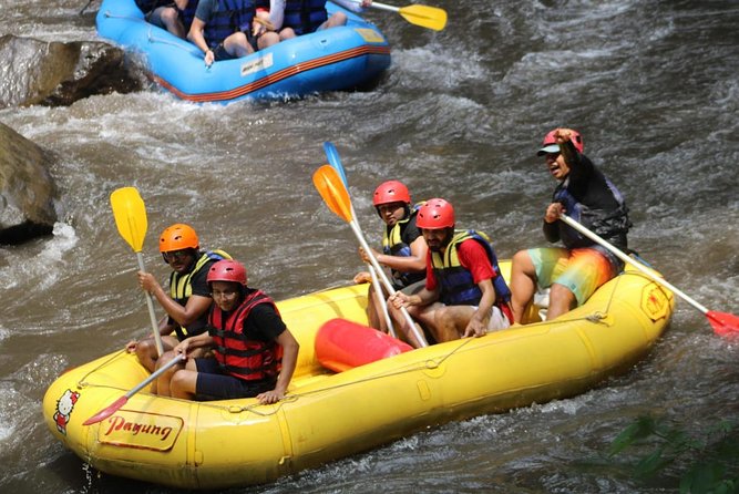 Green Bali Rafting Ticket And Transfer - Should you book Green Bali Rafting Ticket And Transfer?