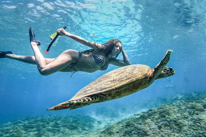 Group Snorkeling Tour Gili Islands Including GoPro Documentation - Stop One: Underwater Statues, a Photo-Ready Twist