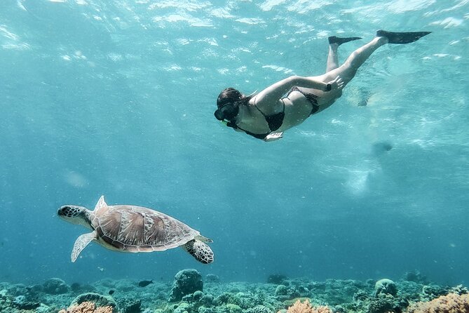 Group Snorkeling Tour Gili Islands Including GoPro Documentation - Stop Two: Sea Turtles Up Close, Respect Matters