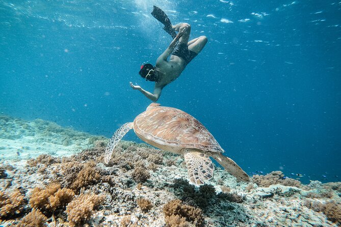 Group Snorkeling Tour Gili Islands Including GoPro Documentation - Where You Meet: Sama-Sama Reggae Bar, Very Close to the Harbor