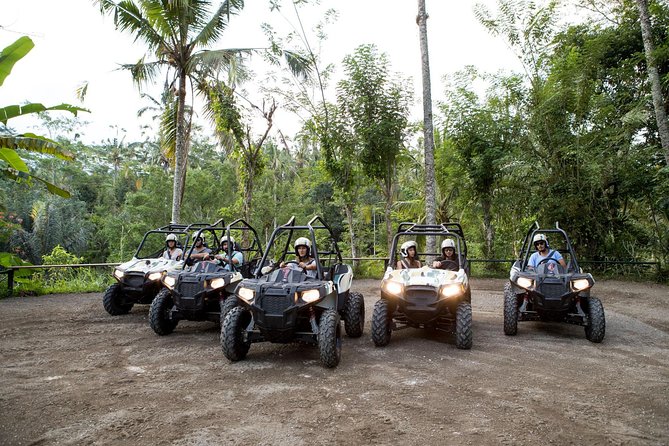 Half Day Jungle Buggies in Bali with Guide - Key Things I Think You’ll Care About