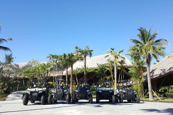 Half Day Jungle Buggies in Bali with Guide - Lunch, Chocolate Showroom, and the Best Way to Recover