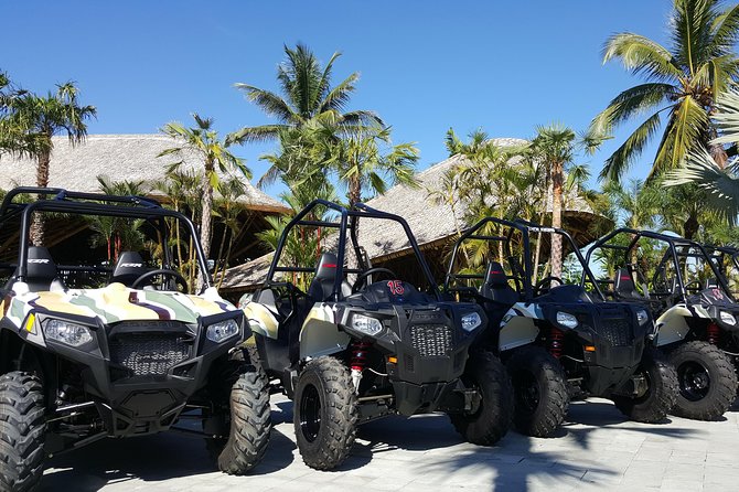 Half Day Jungle Buggies in Bali with Guide - How Long It Feels: The 7:30am Timing and Half-Day Rhythm