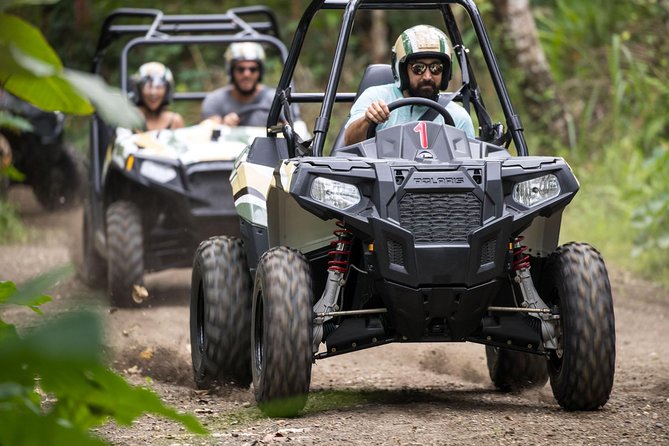 Half Day Jungle Buggies in Bali with Guide - Possible Downsides, and How to Avoid Regret