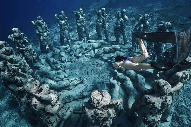 Half-Day Private Guided Snorkeling Turtles Underwater Statues - Gili Air and Fish Garden: Colorful Fish, Reef Details, and a Turtle Shot