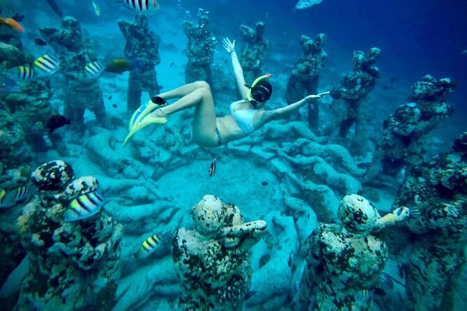 Half-Day Private Guided Snorkeling Turtles Underwater Statues - The 4-Hour Plan, What Happens in Real Time
