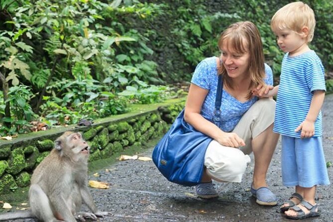 Half Day Private Tour in Ubud - Monkey Forest First: Long-Tailed Macaques and Respectful Rules