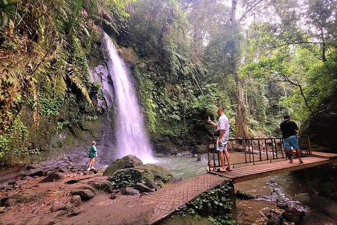 Half Day Tour Ubud Rice Terrace with Activities and Waterfall - Private pickup and the Pepito Market Tebongkang meeting point