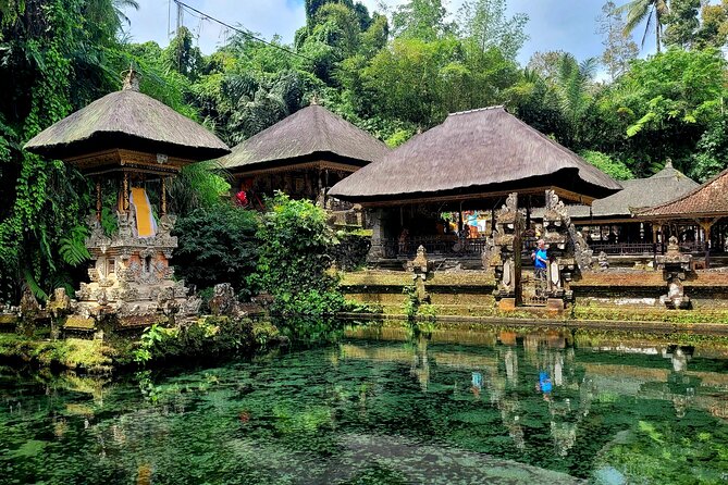 Half Day Tour Ubud Rice Terrace with Activities and Waterfall - Ulu Petanu Waterfall: easy forest access and a cool-down by the pool