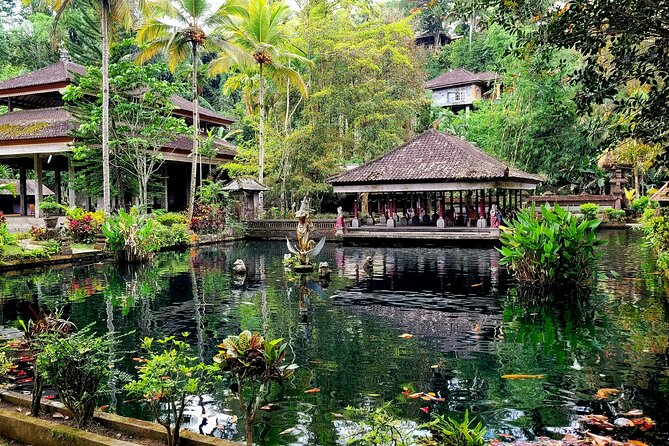 Half Day Tour Ubud Rice Terrace with Activities and Waterfall - Who this tour suits best in Ubud