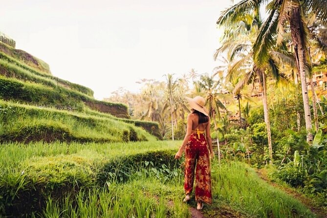 Half Day Tour Ubud Rice Terrace with Activities and Waterfall - Abian Desa Rice Terrace: panoramic paddies plus optional swing or zipline