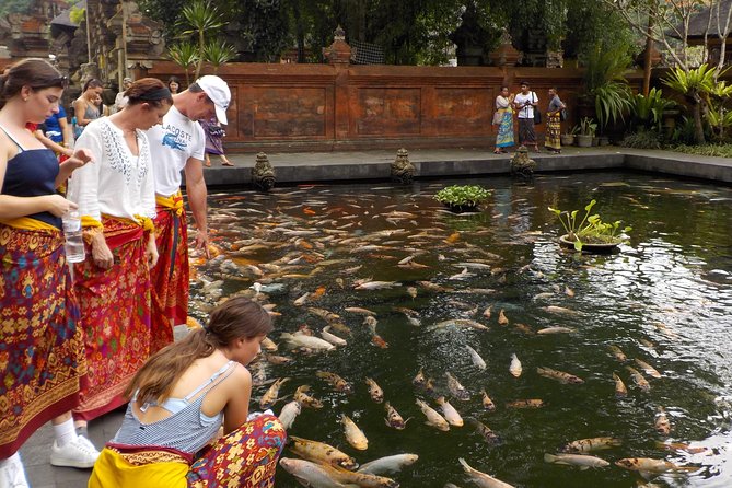 Half-Day Ubud Electric Cycling Tour to Tirta Empul Water Temple - Why an electric bike route works so well in Ubud