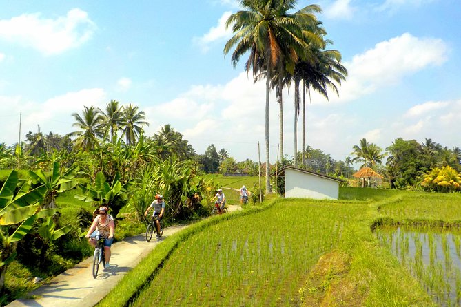 Half-Day Ubud Electric Cycling Tour to Tirta Empul Water Temple - Bicycles, safety, and fitness limits you should take seriously