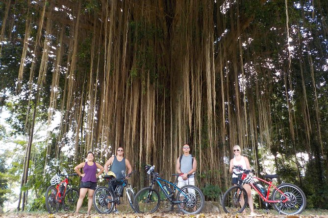 Half-Day Ubud Electric Cycling Tour to Tirta Empul Water Temple - Price and value: is $49 a fair deal for a half-day?