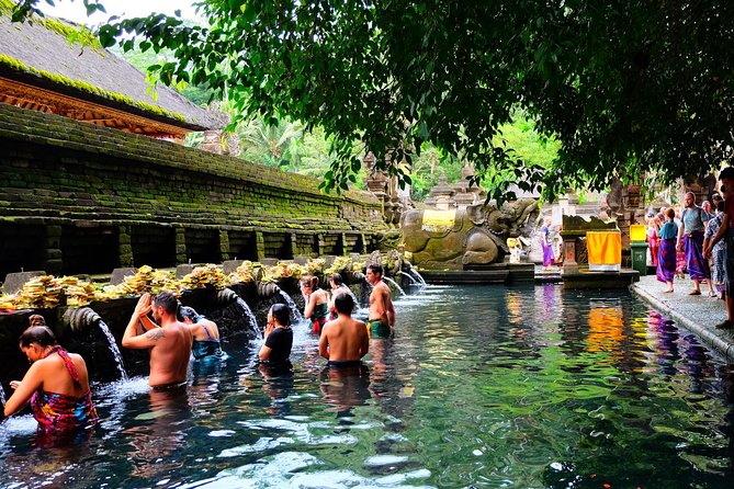 Half-Day Ubud Electric Cycling Tour to Tirta Empul Water Temple - Who should book this e-bike tour to Tirta Empul?