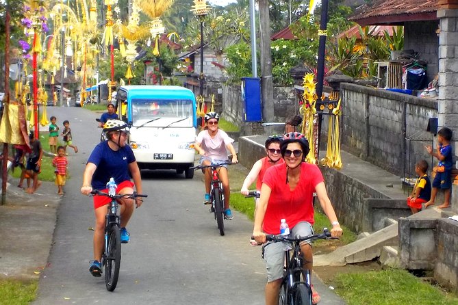 Half-Day Ubud Electric Cycling Tour to Tirta Empul Water Temple - Should you book this half-day e-bike to Tirta Empul?