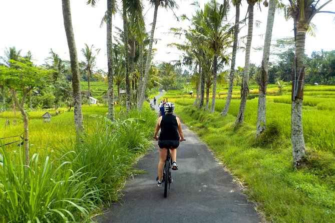Half-Day Ubud Electric Cycling Tour to Tirta Empul Water Temple - From Petulu to rural quiet: what the ride is actually like