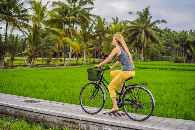 Half-Day Ubud Rice Field and Village Cycling Tour - Key points before you book