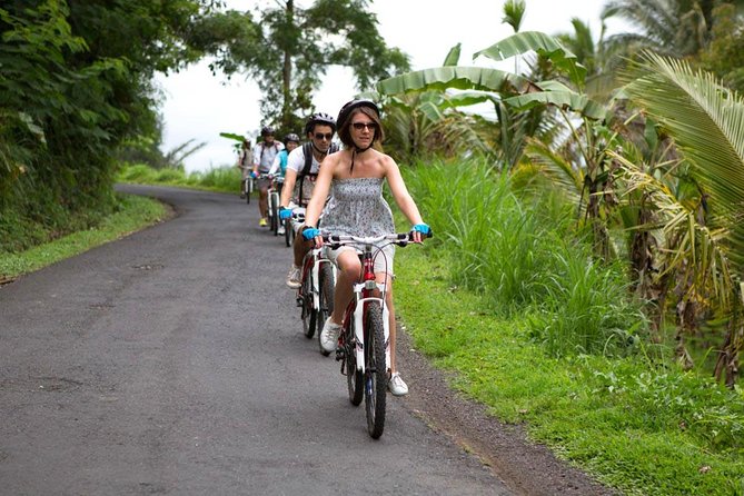 Half-Day Ubud Rice Field and Village Cycling Tour - Why this Ubud bike ride feels different from the bus version