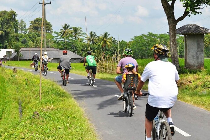 Half-Day Ubud Rice Field and Village Cycling Tour - Pickup, minivan transfer, and the calm start to your day
