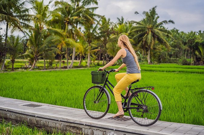 Half-Day Ubud Rice Field and Village Cycling Tour - The ride route from the Mount Batur area down toward Ubud
