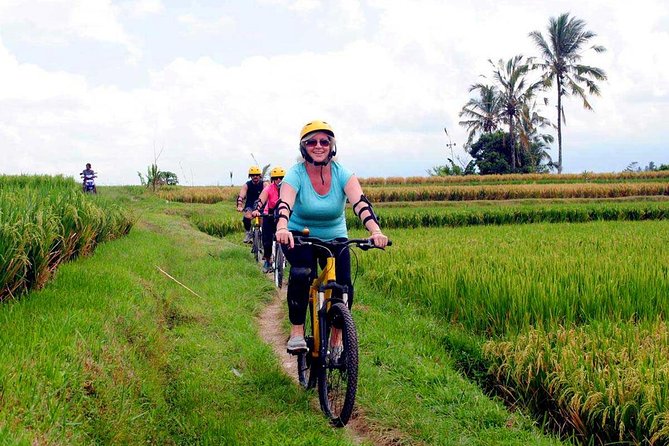 Half-Day Ubud Rice Field and Village Cycling Tour - Guides make or break this kind of tour (and this one leans hard on them)