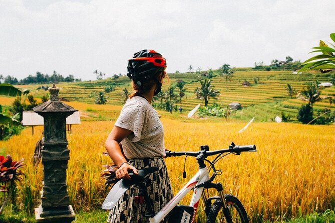 Half-Day Ubud Rice Field and Village Cycling Tour - Price and value: what you actually get for about $41