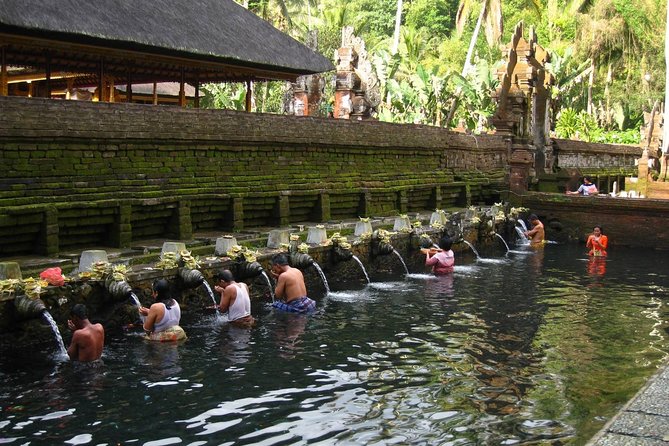 Half Day Ubud Tour - Private Guided Tour - A Half Day in Ubud That Feels Like You Actually Plan