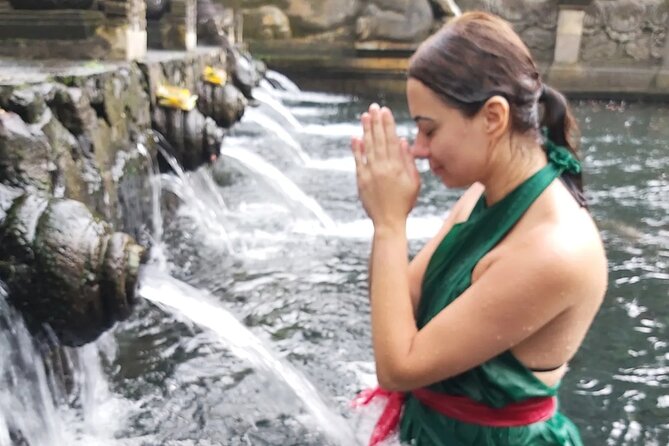 Half Day Ubud Tour - Private Guided Tour - Hotel Pickup and Private Car: Time, Comfort, and Less Hassle