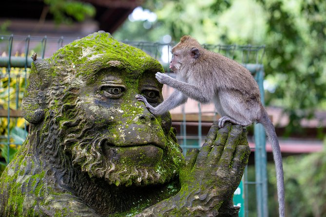 Half Day Ubud Tour: Ubud Unique Spots - Sacred Monkey Forest Sanctuary: Jungle Paths, Temple Vibes, and Temperamental Macaques