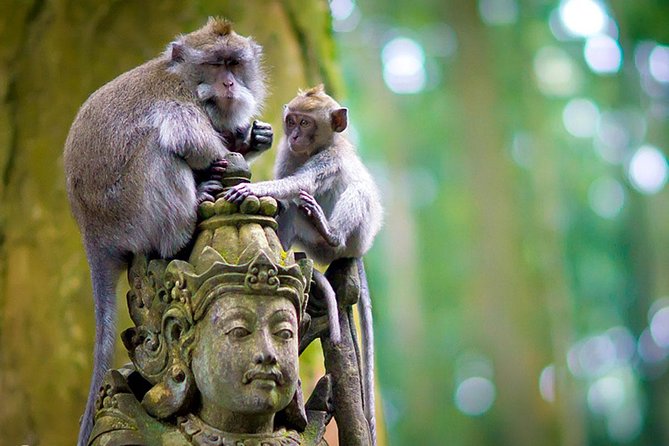 Half Day Ubud Tour: Ubud Unique Spots - Price and Value at $38.98: What’s Included, and What You Should Plan for