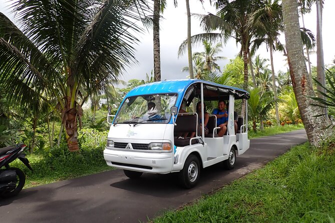 Half Day Ubud Waterfall Tour - Key highlights worth clocking before you go
