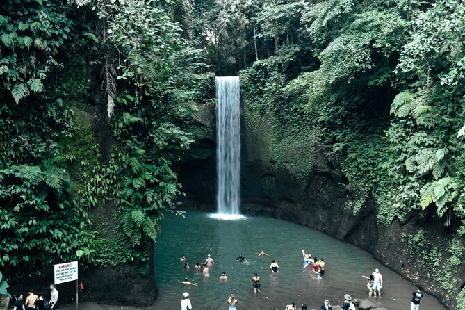 Half Day Ubud Waterfall Tour - Stop 2: Taman Sari waterfall and the natural pool in Gianyar