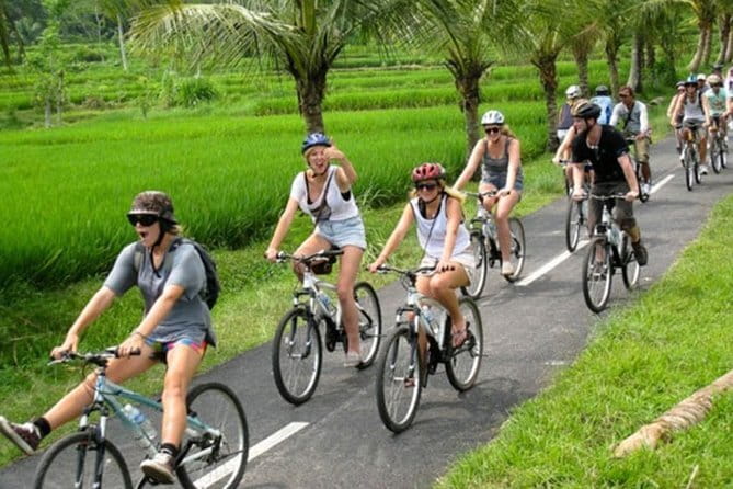 Halo Bike Cycling Tour Downhill - Pickup times and how to plan your morning