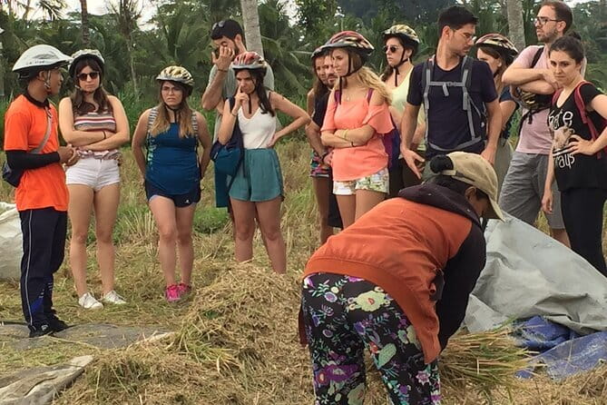 HALO BIKE Downhill Bali Countryside Cycling Tour - Tegalalang Rice Terrace stop: the first wow moment (and you get the ticket)