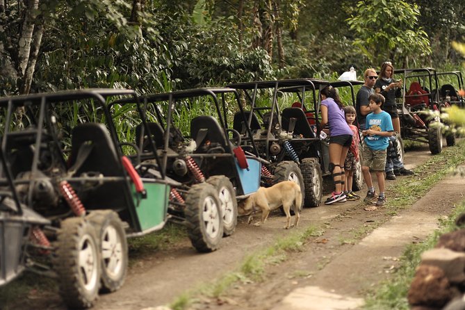 Haunted Valley Waterfall ATV and Bike Tour - The Bike Portion: Rice Fields, Dirt Trails, and a Reality Check on Difficulty
