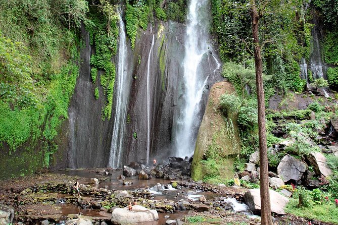 Haunted Valley Waterfall ATV and Bike Tour - Lunch, Coffee, and the Small Comfort Wins