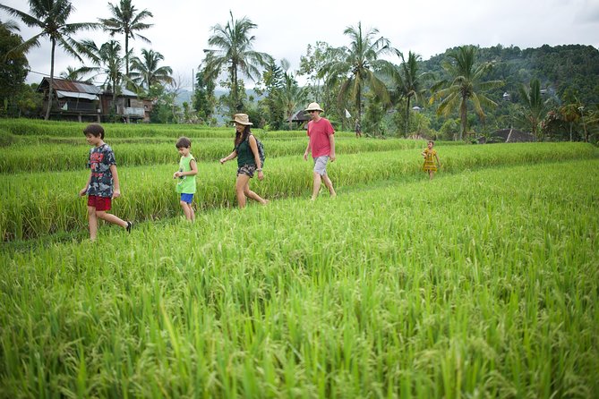 Haunted Valley Waterfall ATV and Bike Tour - Getting Started in Ubud: Transfers, Timing, and the Pace of the Day