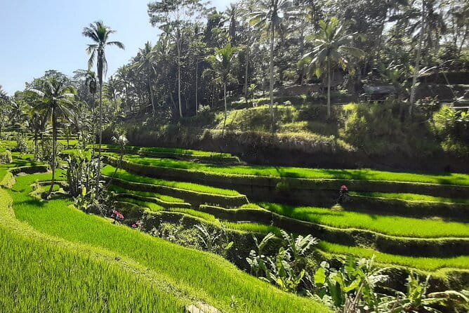 Heaven Gate, Tirtagangga and Tukad Cepung Waterfall - All Inclusive - Lempuyang Heaven Gate: the Mount Agung view that feels unreal