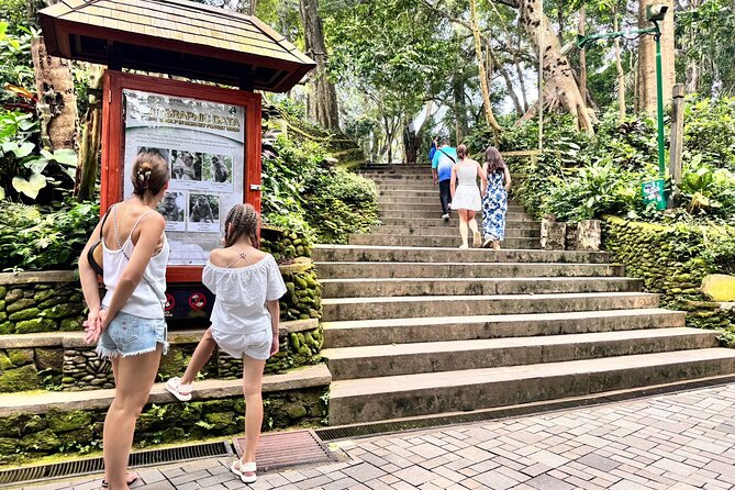 Hidden Ubud: Waterfalls & Sacred Temples - Tegenungan (or Ulun Petanu) waterfalls: the payoff after temples