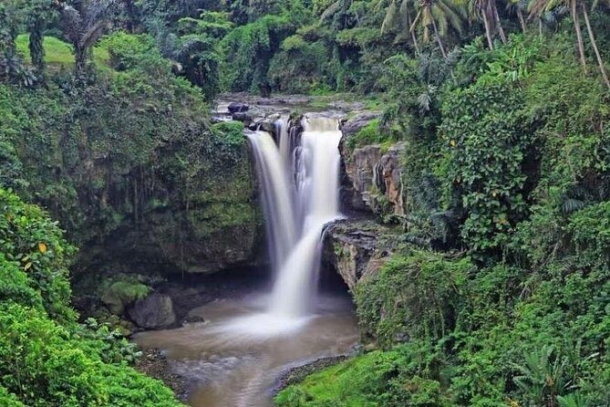 Hidden Ubud: Waterfalls & Sacred Temples - Sacred Monkey Forest Sanctuary: worth it, if you want the chaos