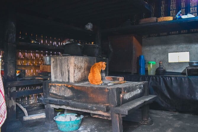 Highlight of Bali Tour - Blahbatuh To Penglipuran: The Big Picture