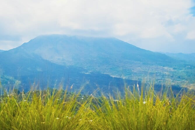 Highlight of Bali Tour - Price and Logistics: Is $70.52 Good Value?