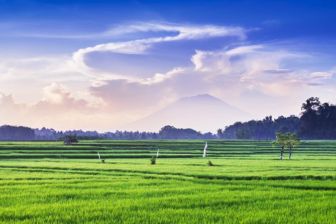 Highlights of Ubud & Mount Batur Volcano - Private Day Trip - Price and what you really get for $60