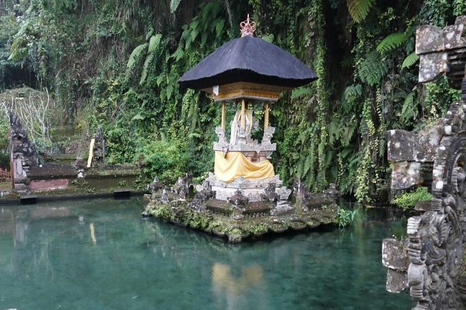 Hire Bali Driver for 10-hour (Bali as You Please) - Stop-by-stop: what each major site is like, and what to watch for