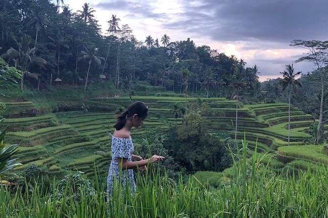 Hire Bali Driver for 10-hour (Bali as You Please) - Your driver matters: safety, punctuality, and clear English