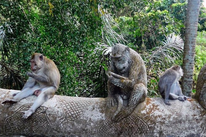 Hire Bali Driver for 10-hour (Bali as You Please) - Best-fit for different travel styles