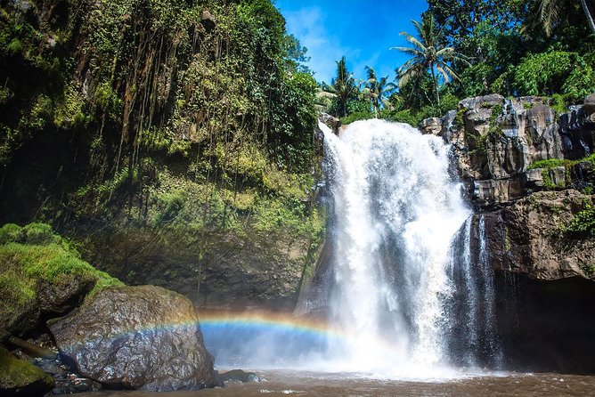 Hire Private Bali Driver - Ubud and the green core: Tegalalang, Monkey Forest, Tegenungan, and nearby stops