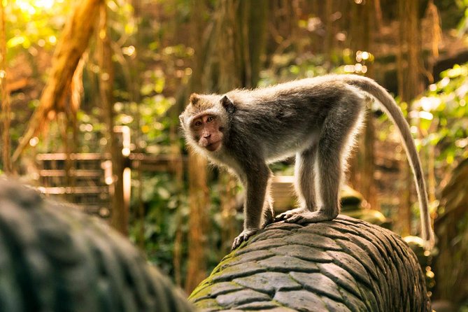 Hire Private Bali Driver - Comfort details you actually feel: air-conditioned car, water, parking, and fuel