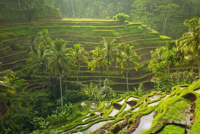 Hire Private Bali Driver - How the day runs: Pickup, driving, and the stress-free return